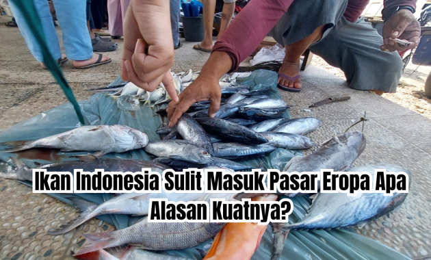 ikan Indonesia sulit masuk pasar Eropa