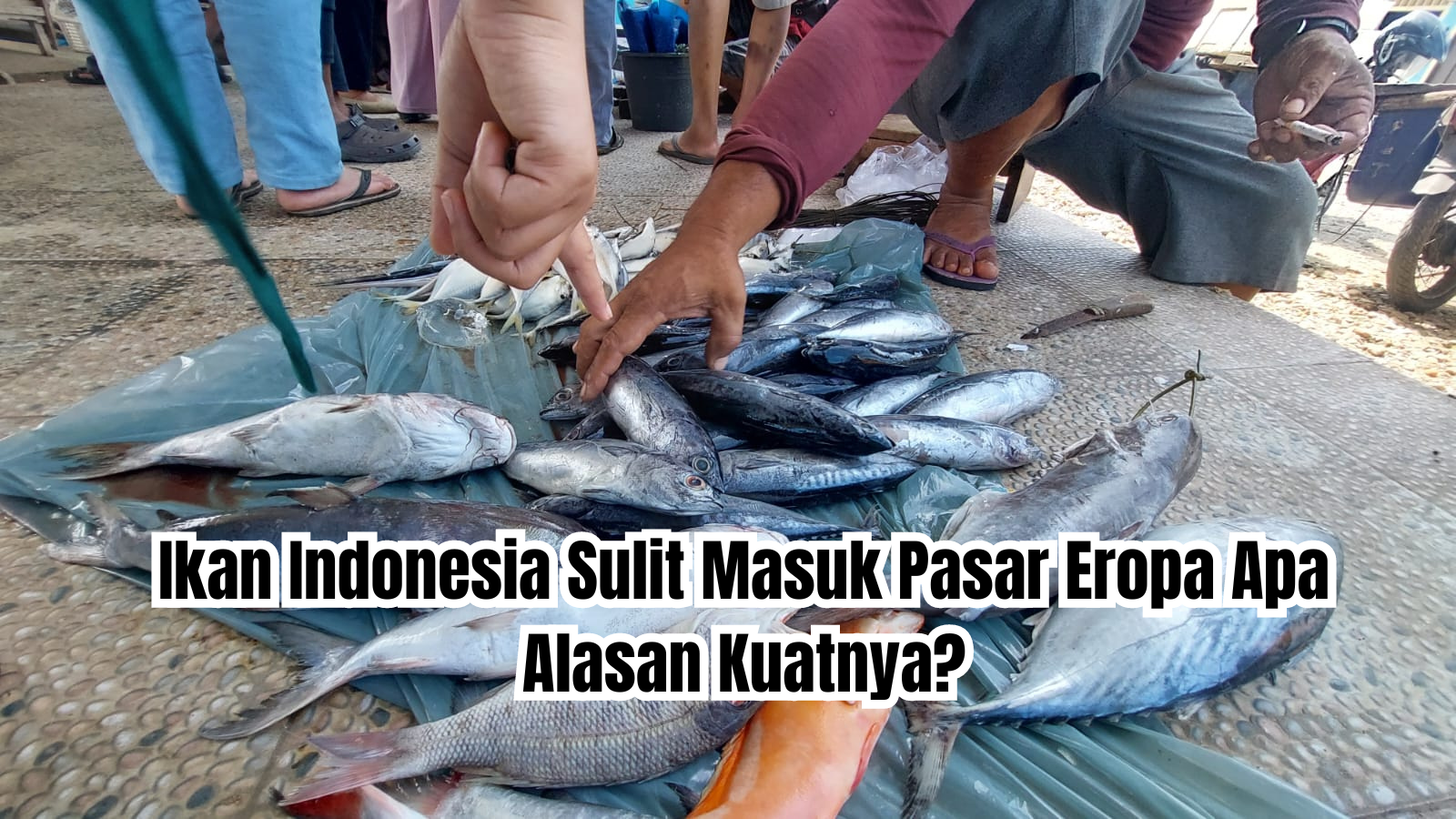 ikan Indonesia sulit masuk pasar Eropa