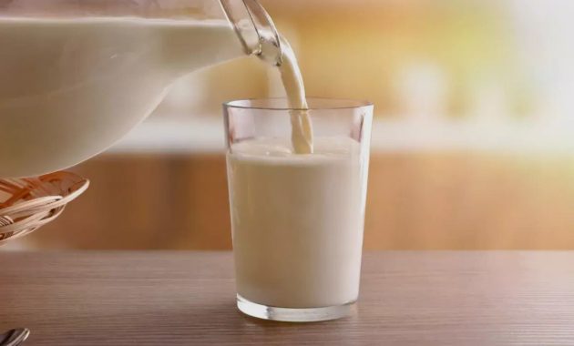Salah satu hal penting yang harus diperhatikan dalam panduan nutrisi susu hamil adalah mengandung protein.