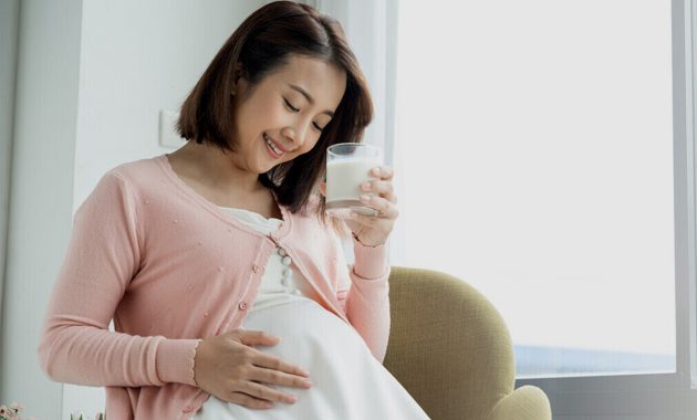 Artikel mengenai panduan nutrisi susu hamil yang harus diperhatikan oleh para ibu hamil agar kandungan selalu sehat.