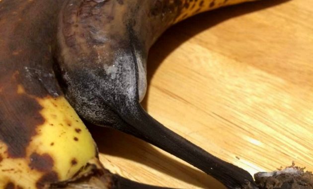 Waktu yang tepat untuk membuang pisang dengan kulit pisang sudah cokelat yaitu saat mulai bertumbuh jamur.