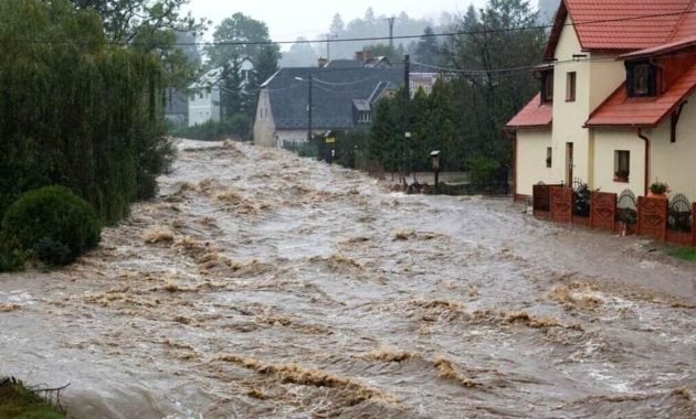 Artikel kali ini membahas mengenai berbagai panduan pertolongan pertama yang harus kita lakukan saat menghadapi bencana banjir.Artikel kali ini membahas mengenai berbagai panduan pertolongan pertama yang harus kita lakukan saat menghadapi bencana banjir.
