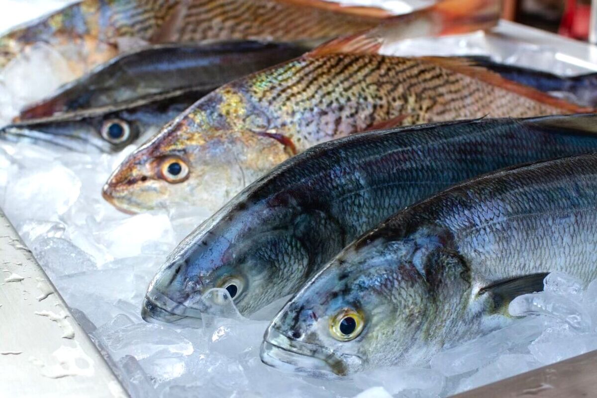 Manfaat Ikan yang Baik untuk Kesehatan - Ikan kaya akan vitamin dan mineral yang penting
