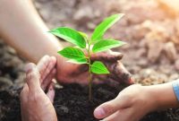 Artikel ini membahas mengenai beberapa manfaat menanam pohon yang ternyata sangat penting bagi lingkungan hidup.