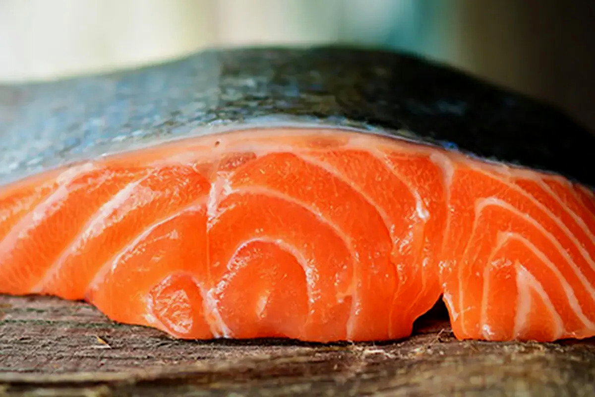 Manfaat Salmon Mentah - Sumber Asam Lemak Omega-3 Tinggi