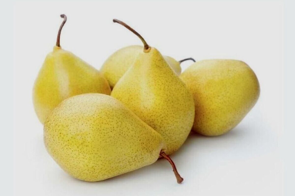 Manfaat Buah Pir - Meredakan Sembelit dan Meningkatkan Kesehatan Pencernaan