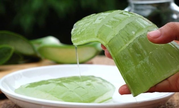 Artikel kali ini memberikan beberapa tips dan cara alami menghilangkan bekas luka yang bisa kalian lakukan sendiri dirumah.