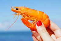 Artikel kali ini membahas mengenai beberapa manfaat udang yang kaya akan nutrisi dan baik untuk kesehatan tubuh.