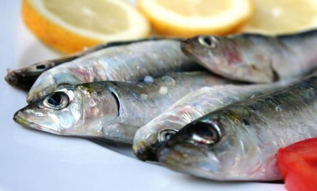 Pembahasan mengenai beberapa jenis ikan dengan manfaat kesehatan yang sangat baik sekaligus tetap halal dan aman untuk dikonsumsi.