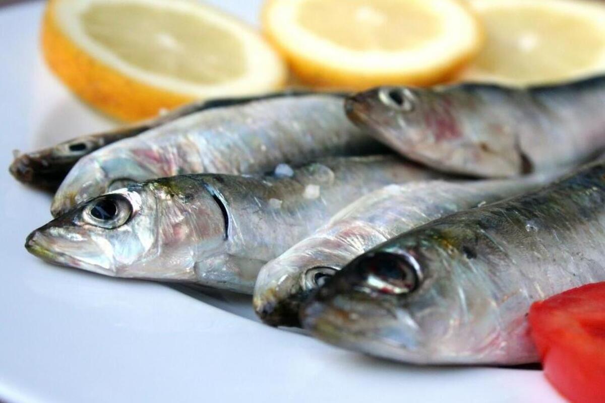 Pembahasan mengenai beberapa jenis ikan dengan manfaat kesehatan yang sangat baik sekaligus tetap halal dan aman untuk dikonsumsi.