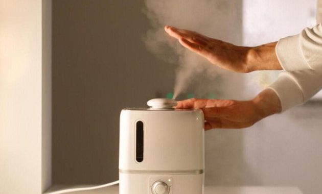 Artikel kali ini membahas mengenai beberapa manfaat humidifier atau pelembap udara yang baik untuk Kesehatan.