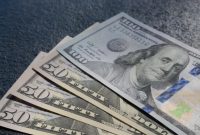 Artikel kali ini membahas mengenai beberapa cara dan tips menghadapi kenaikan dolar AS bagi warga negara Indonesia.