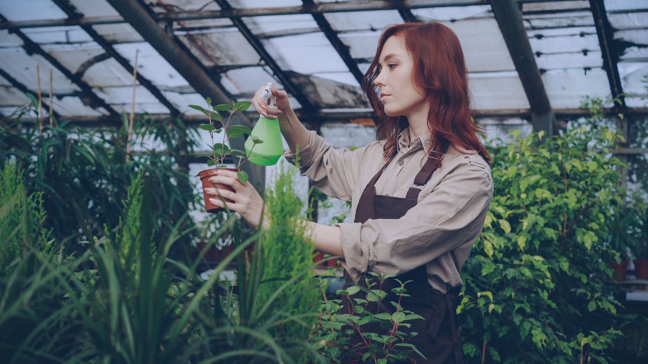 Ilustrasi tanaman memiliki ritme pertumbuhan alami (pexels)