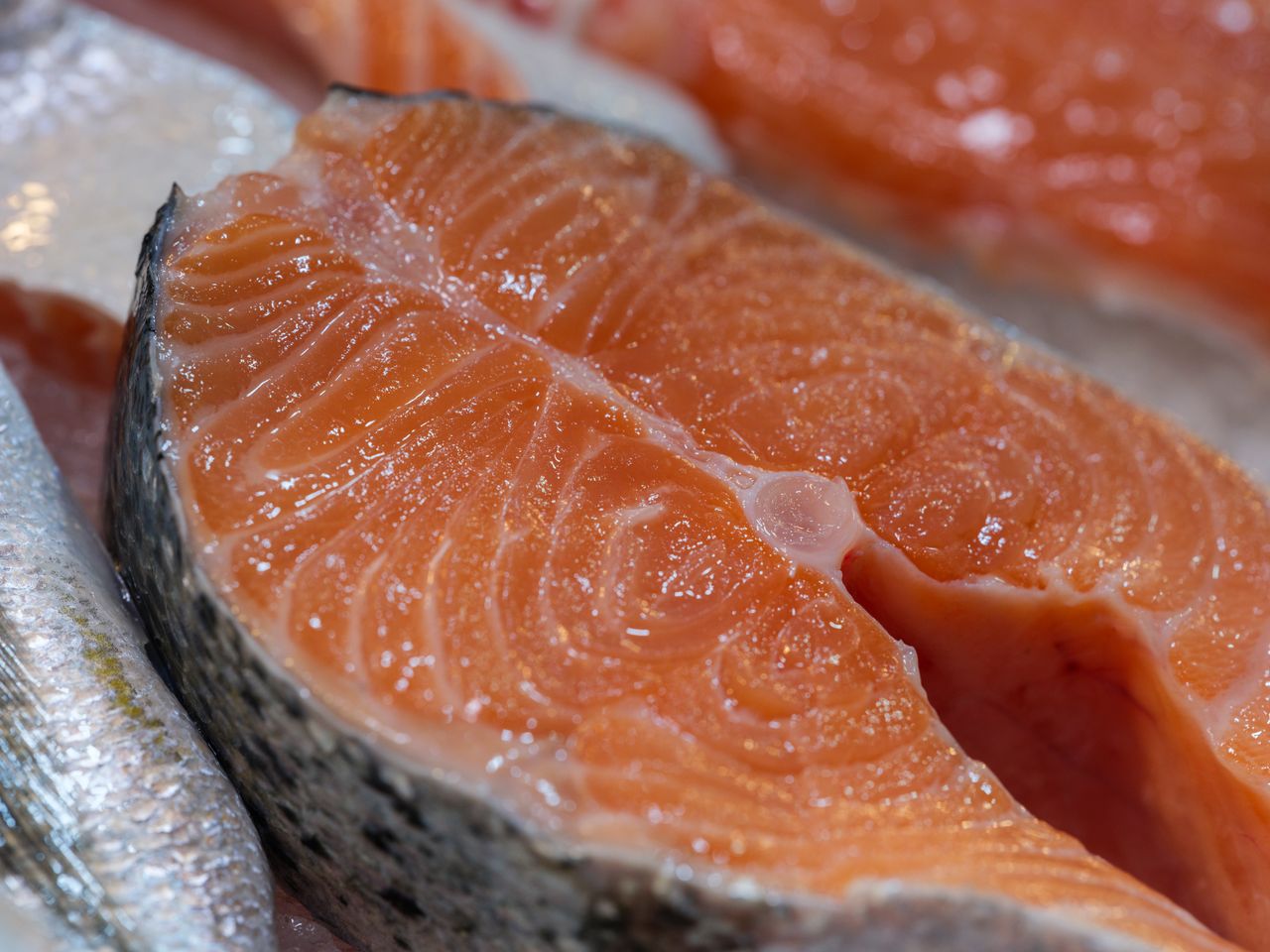Ilustrasi Daging Salmon (pexels)